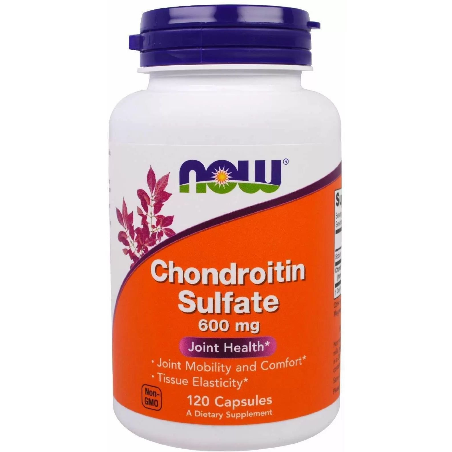 Хондроитин сульфат Now Foods Chondroitin Sulfate 600 мг 120 капсул - фото 1