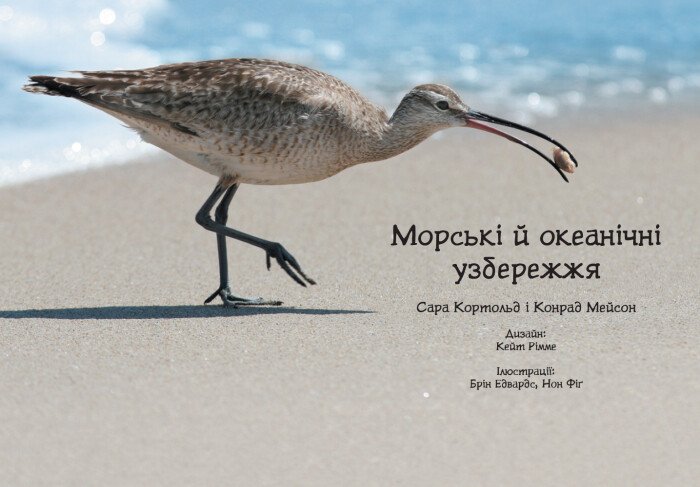 Книга Ранок Стежками природи. Океанічні й морські узбережжя - Сара Кортольд (С791002У) - фото 2