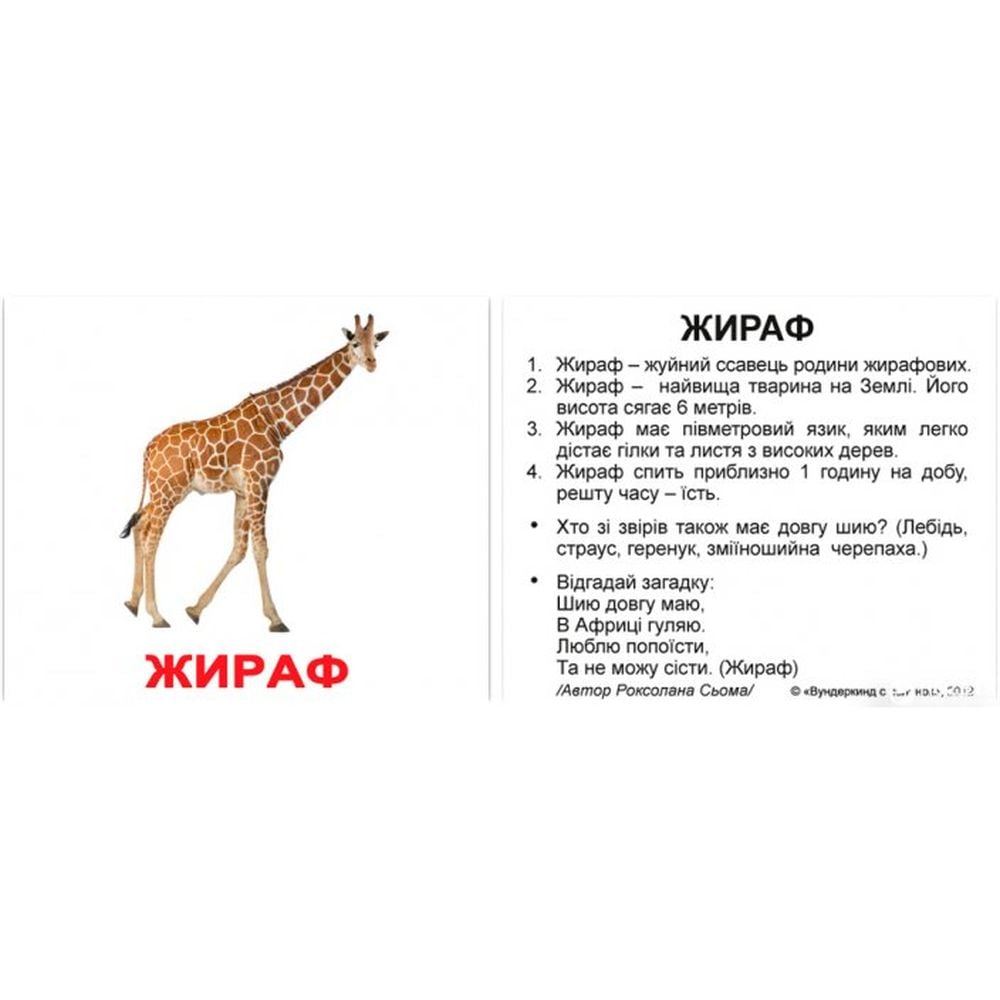 Міні-картки Вундеркінд з пелюшок Дикі тварини, з фактами, укр. мова, 40 шт. - фото 2