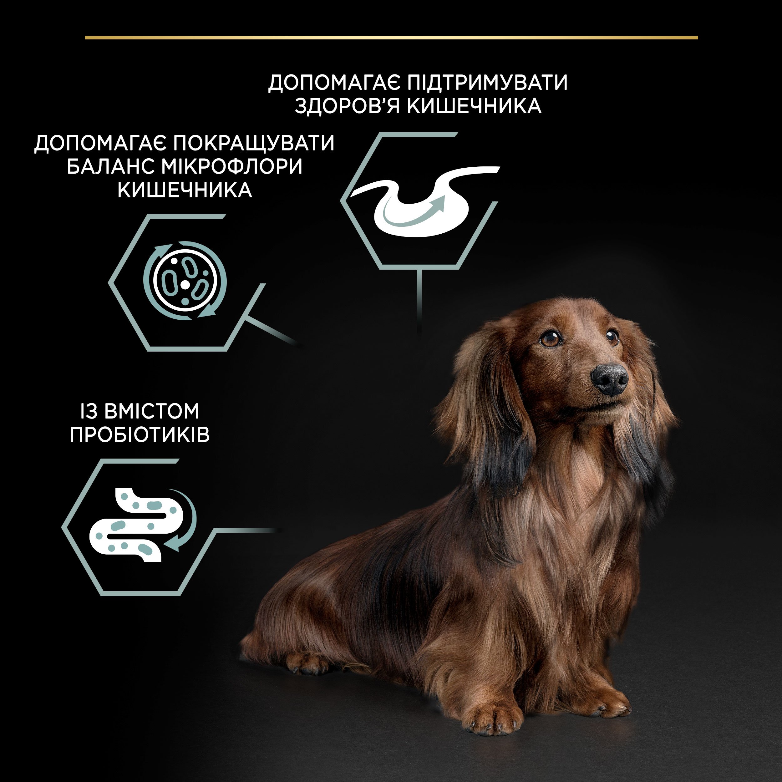 Сухой корм Purina Pro Plan Small&Mini Adult 1+ Sensitive Digestion для взрослых собак мелких пород с чувствительным пищеварением с ягненком 3 кг (12377367) - фото 7
