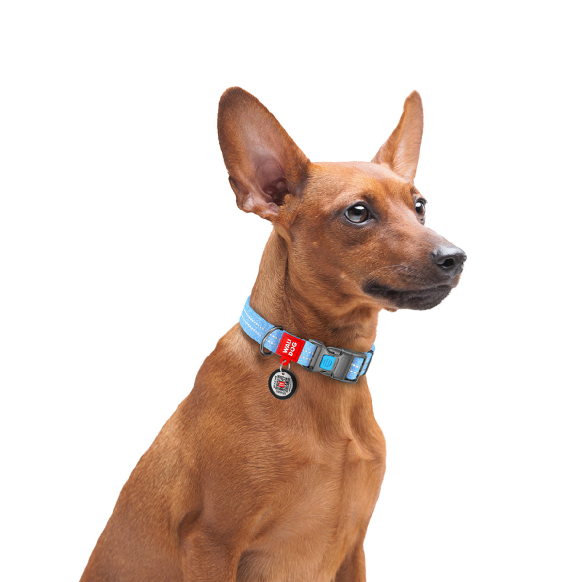 Нашийник для собак Waudog Re-cotton з QR паспортом, світловідбиваючий, пластиковий фастекс, 33-49х2,5 см, блакитний - фото 5
