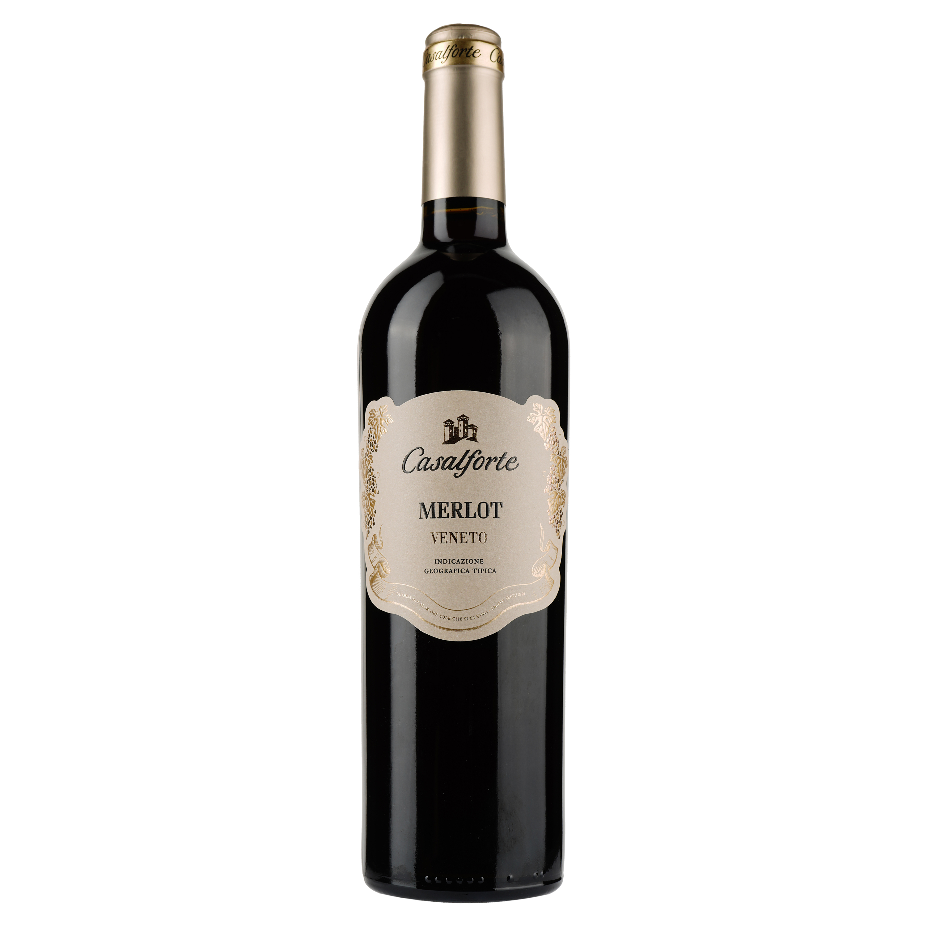 Вино Casalforte Merlot Veneto IGT, красное, сухое, 0,75 л - фото 1