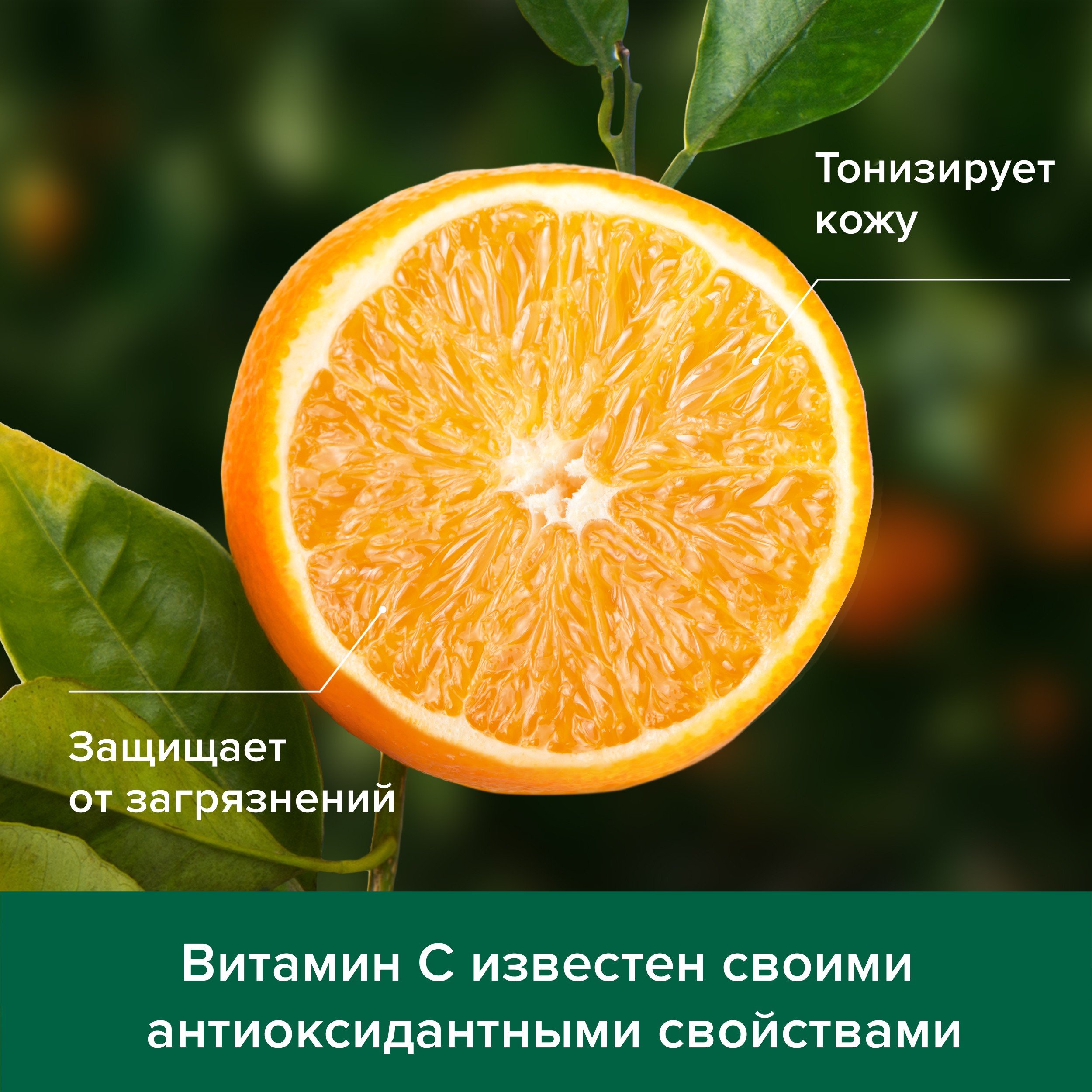 Гель-крем для душа Palmolive Натурэль Витамин С и Апельсин, 250 мл - фото 8