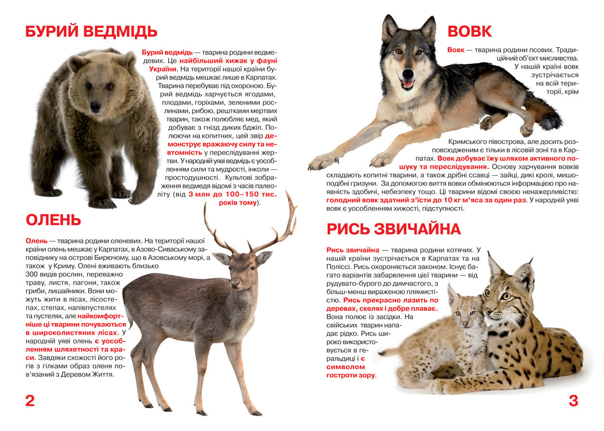 Большая книга Кристал Бук Животный мир Украины (F00012690) - фото 2
