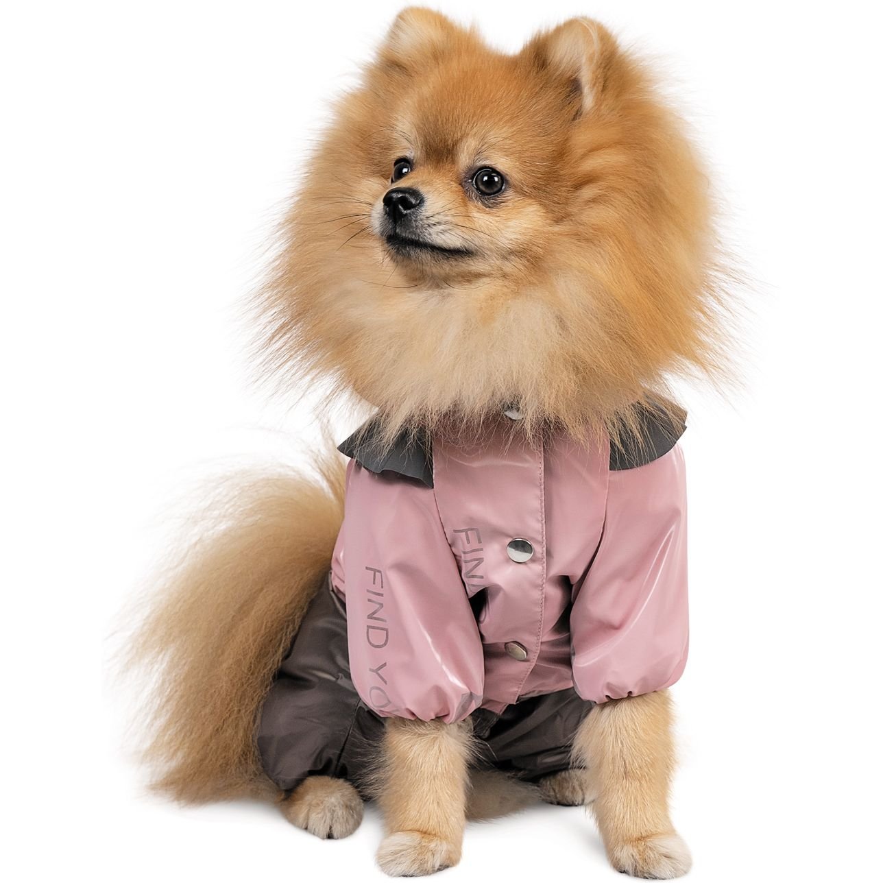 Дождевик Pet Fashion Ariel S розовый - фото 2