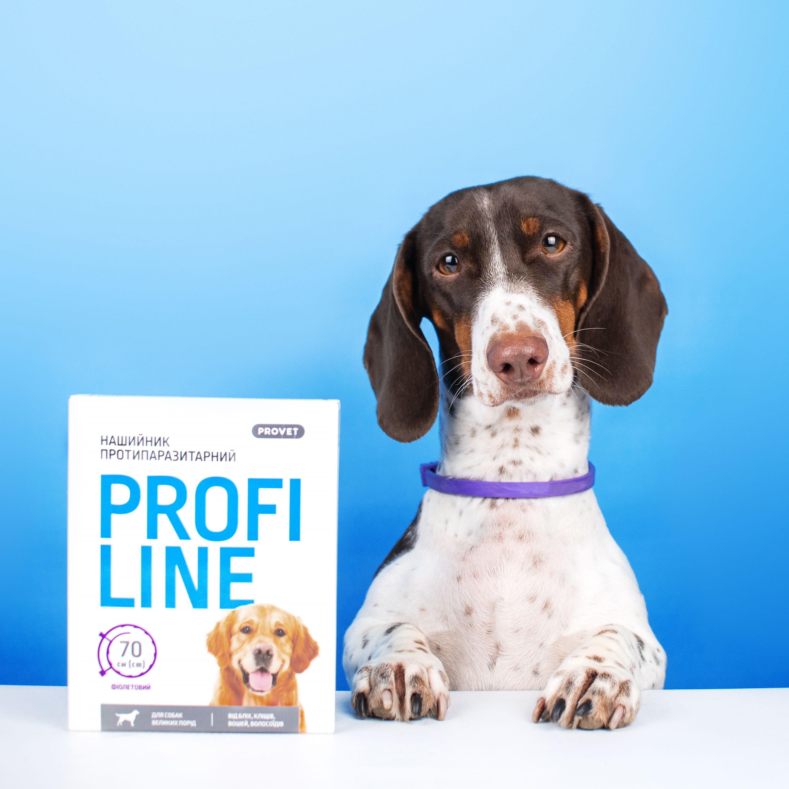 Нашийник протипаразитарний ProVET Profiline для собак великих порід 70 см фіолетовий - фото 5