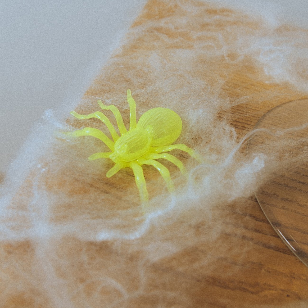 Набір Yes! Fun Halloween Павуки світяться у темряві, 2 шт. (974352) - фото 3