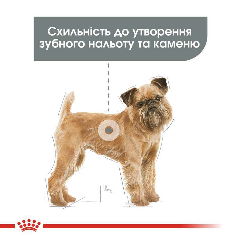 Сухий корм для собак малих порід із підвищеною чутливістю зубів Royal Canin Mini Dental Care, 1 кг (12210109) - фото 2