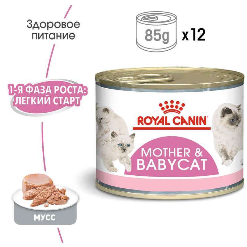 Вологий корм для кошенят до 4 місяців Royal Canin Babycat Instinctive, 195 г - фото 2
