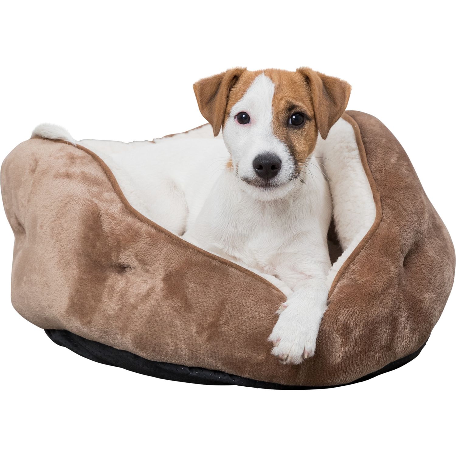 Bed bath and on sale beyond ugg pet