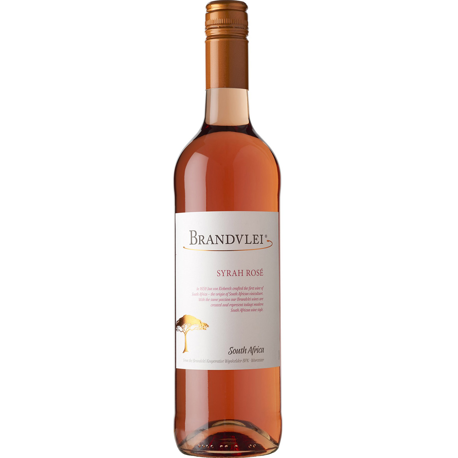 Вино Brandvlei Syrah Rose, рожеве, сухе, 0,75 л - фото 1