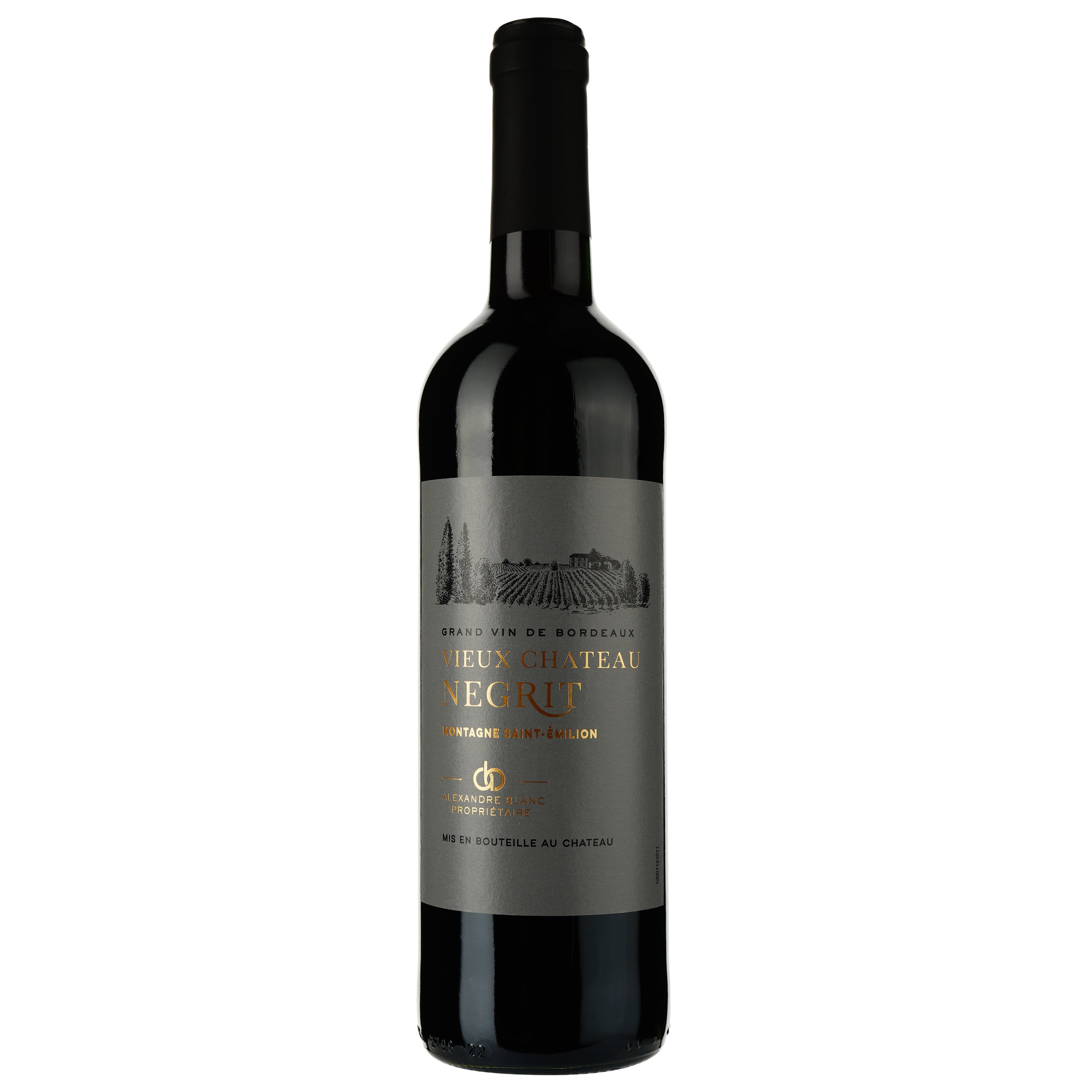 Вино Vieux Chateau Negrit AOP Montagne Saint-Emilion 2021 красное сухое 0.75 л - фото 1