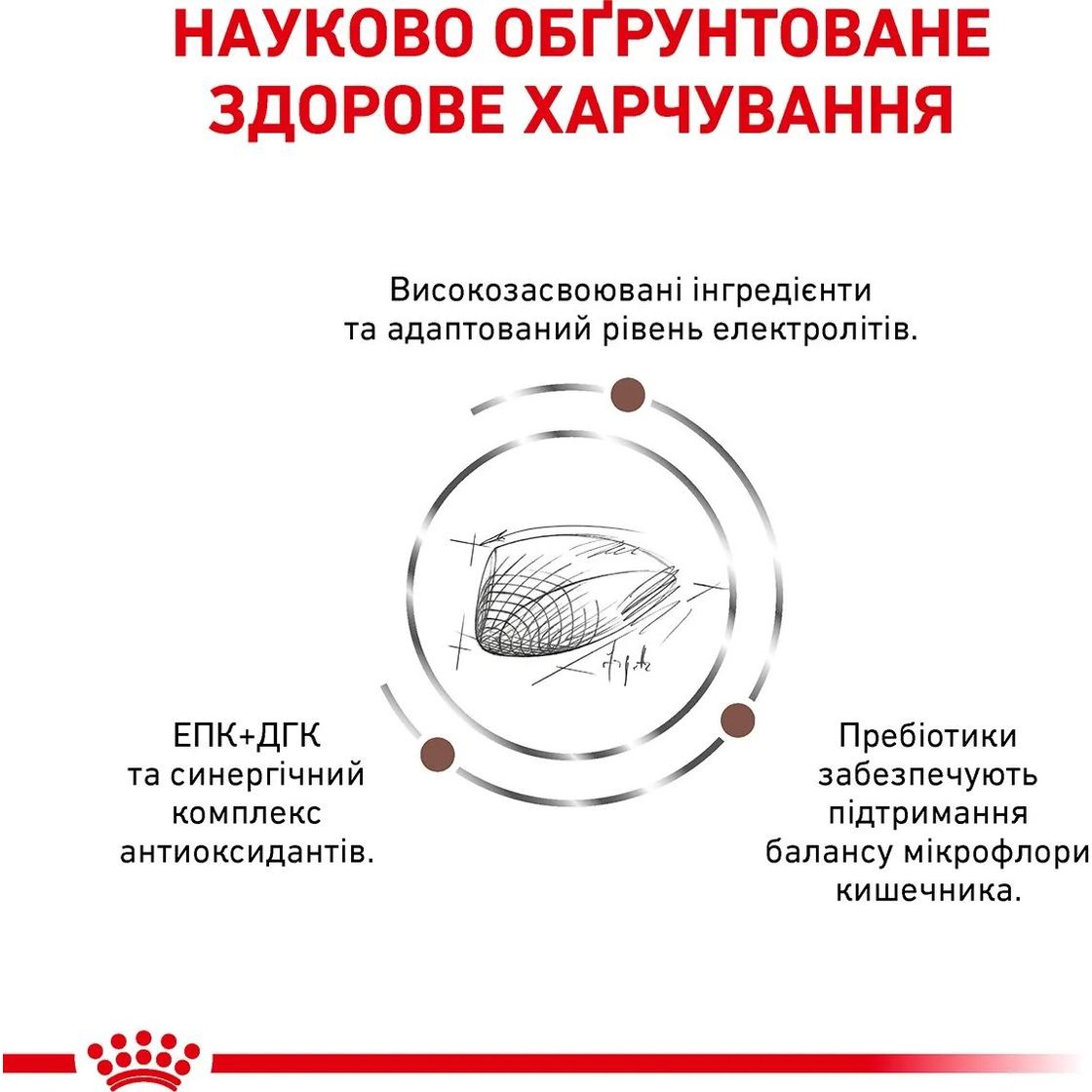 Сухий корм для котів Royal Canin Gastrointestinal при порушеннях травлення 2 кг - фото 5