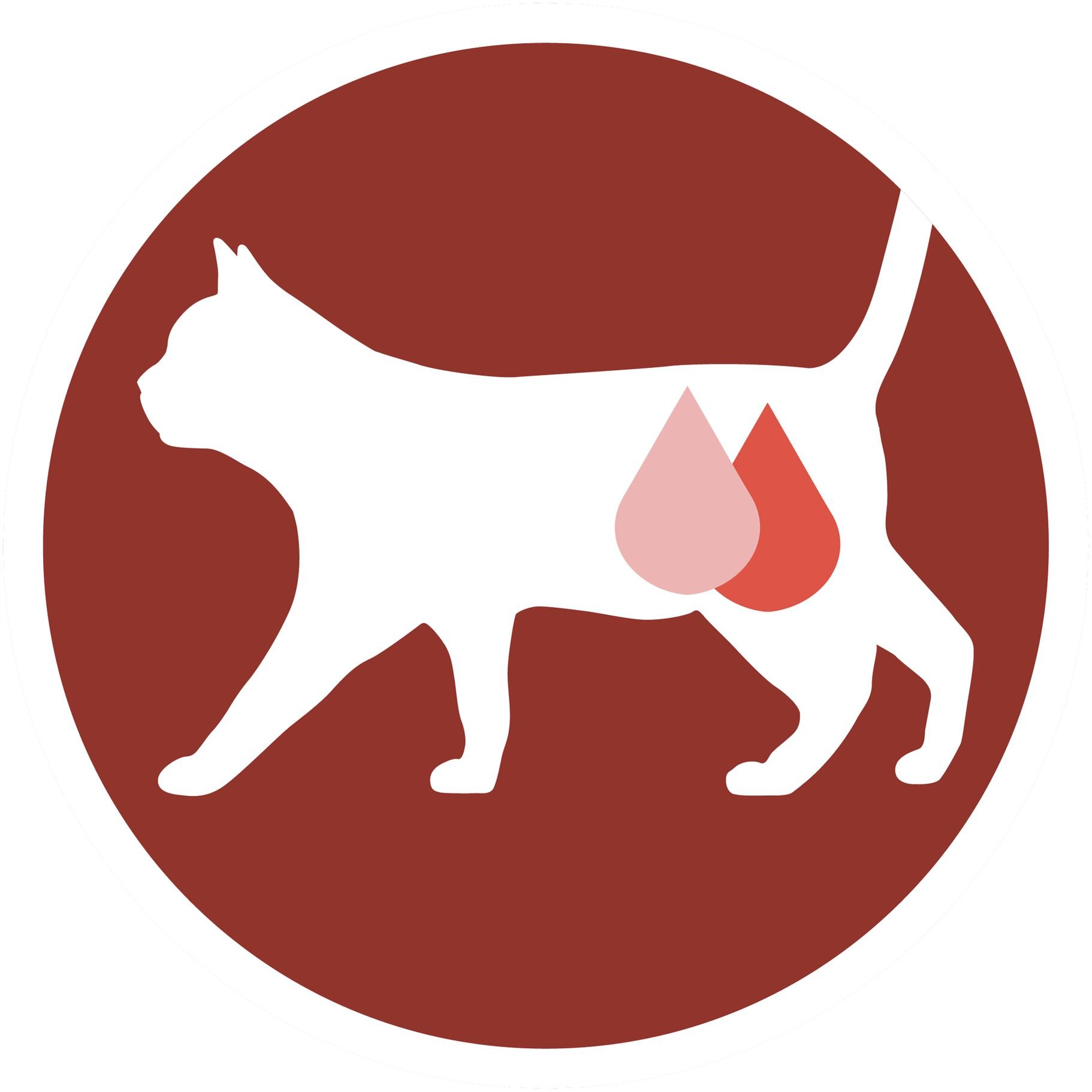 Влажный корм для стерилизованных кошек Purina One Sterilcat, в соусе, с индейкой и зеленой фасолью, 85 г (12455698) - фото 4