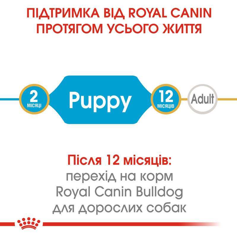 Сухой корм для щенков породы Бульдог Royal Canin Bulldog Puppy, 12 кг (39671201) - фото 8