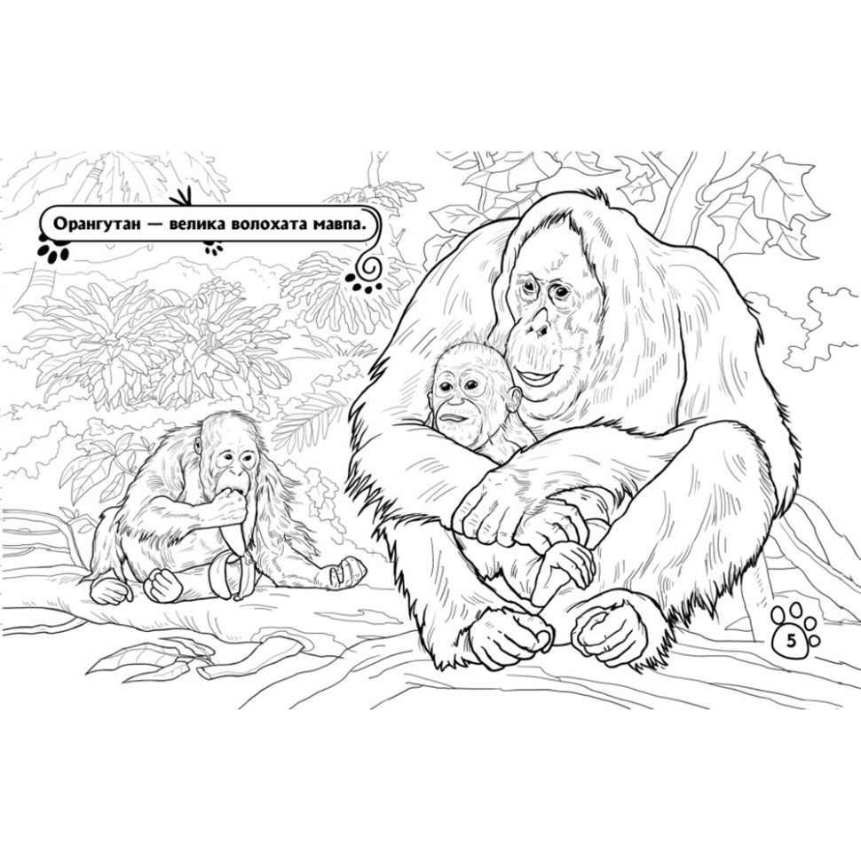Розмальовка дитяча Видавництво Ранок Тварини у далеких краях 16 сторінок (583009) - фото 2