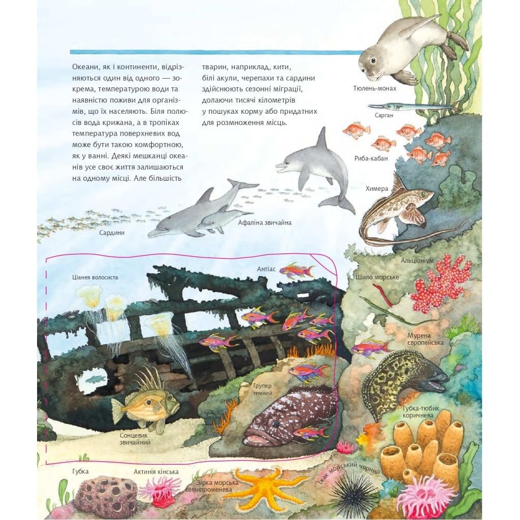 Інтерактивна книжка Богдан Чому? Чого? Навіщо? Досліджуємо морських тварин - Ерне Андреа (978-966-10-6800-0) - фото 2