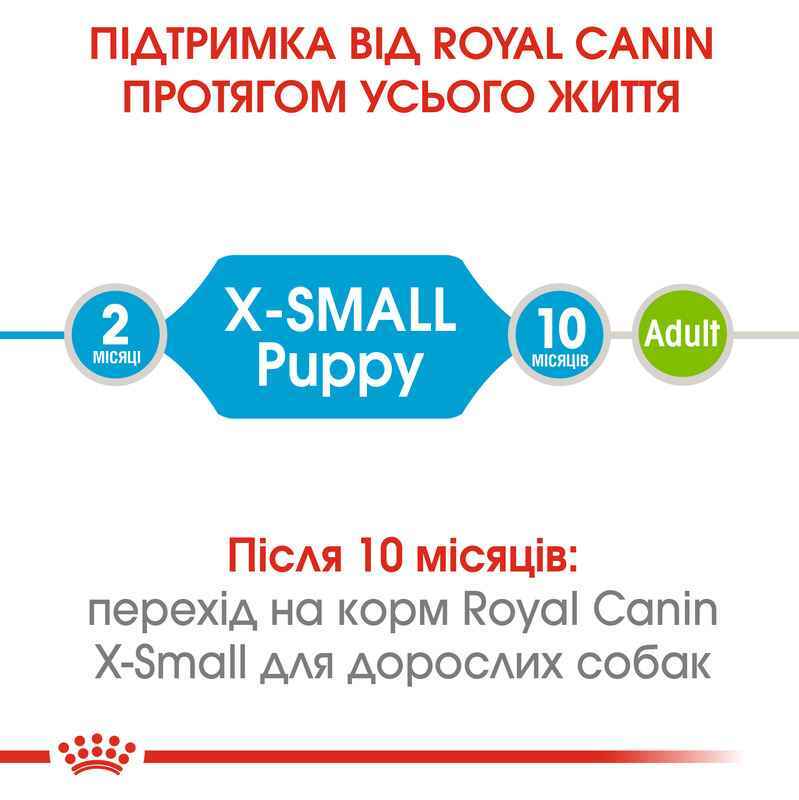 Сухий корм для цуценят дуже мініатюрних порід Royal Canin X-Small Puppy, 3 кг (10020301) - фото 8