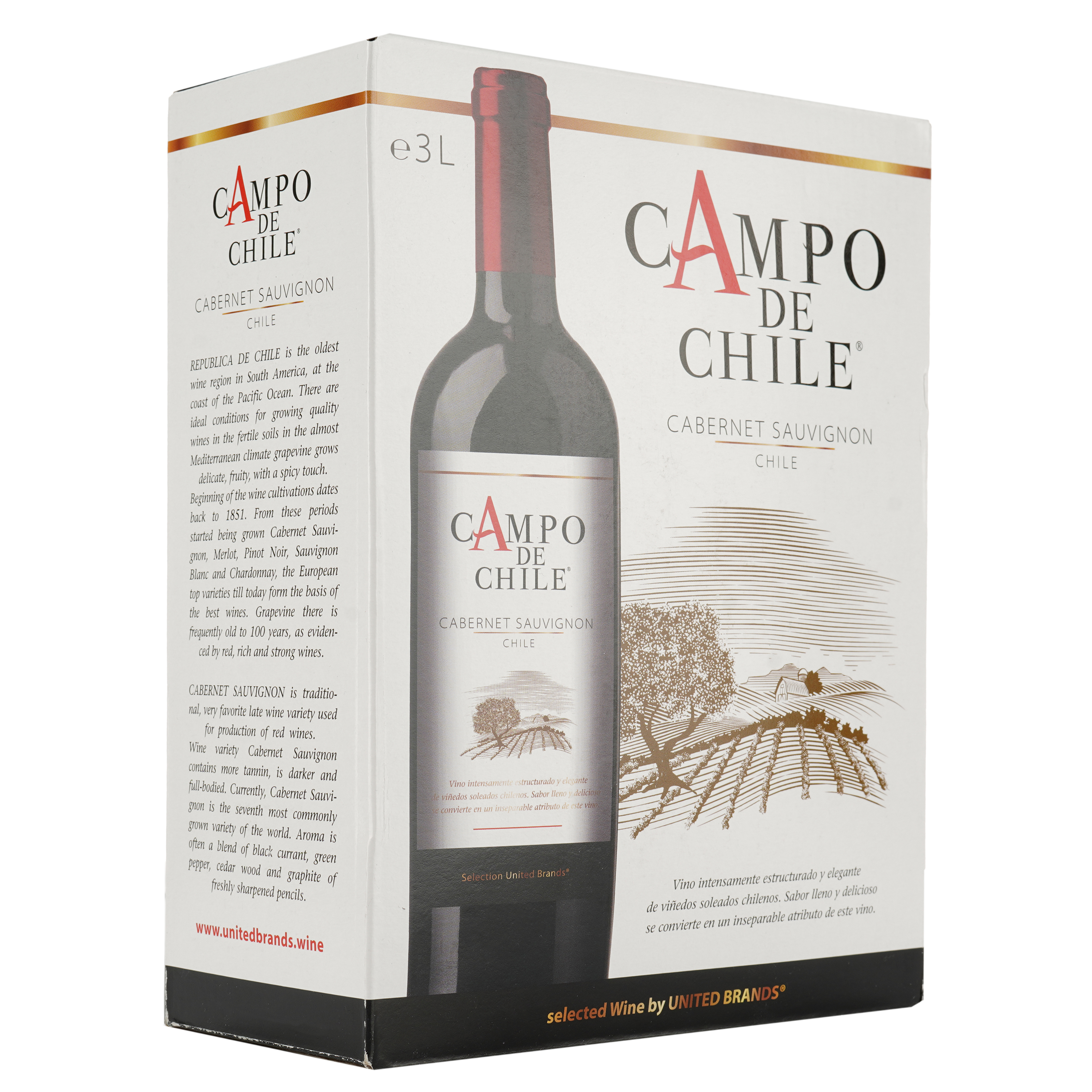 Вино Campo de Chile Cabernet Sauvignon Bag-in-Box, красное, сухое, 13%, 3 л - фото 2