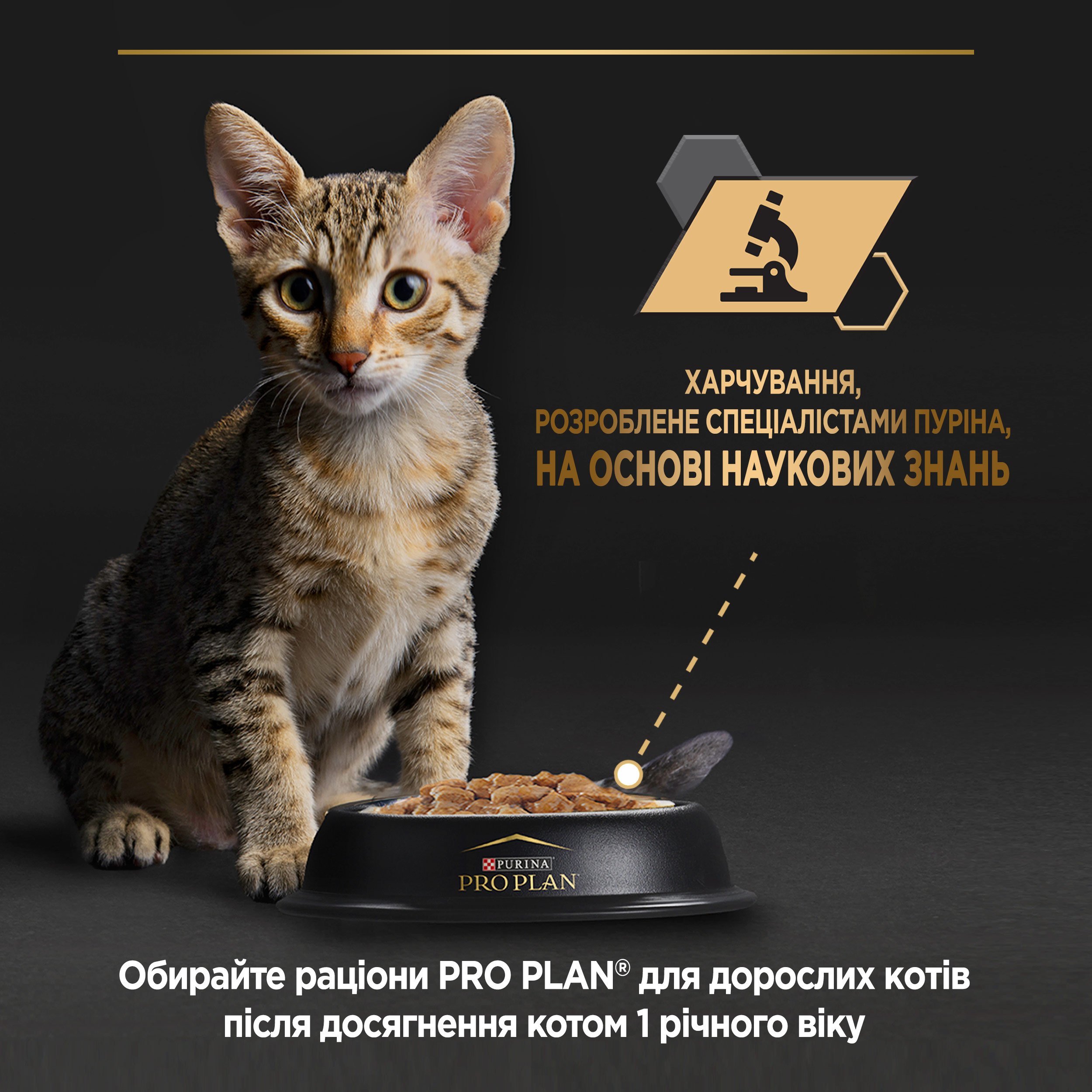 Вологий корм Purina Pro Plan Kitten Healthy Start для кошенят після відлучення від матері мус з куркою 85 г (12459008) - фото 8