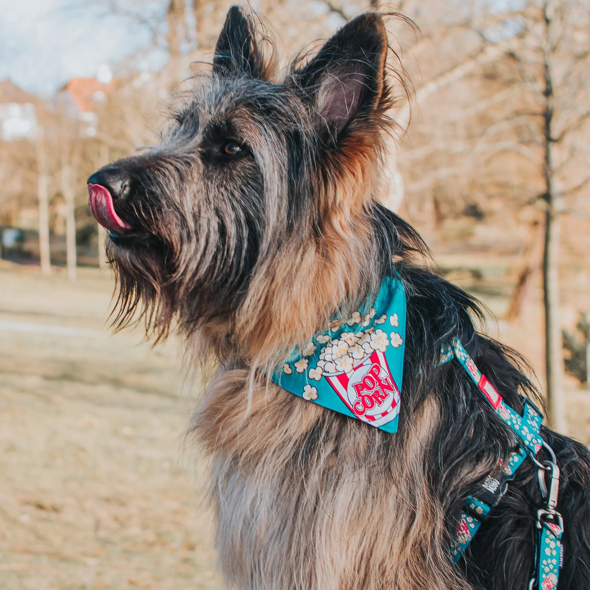 Бандана для собак Max & Molly Bandana Popcorn на нашийник з принтом Попкорн S - фото 2