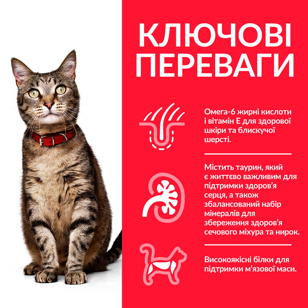 Сухий корм для дорослих котів Hill's Science Plan Adult, з ягням, 1,5 кг (604066) - фото 5