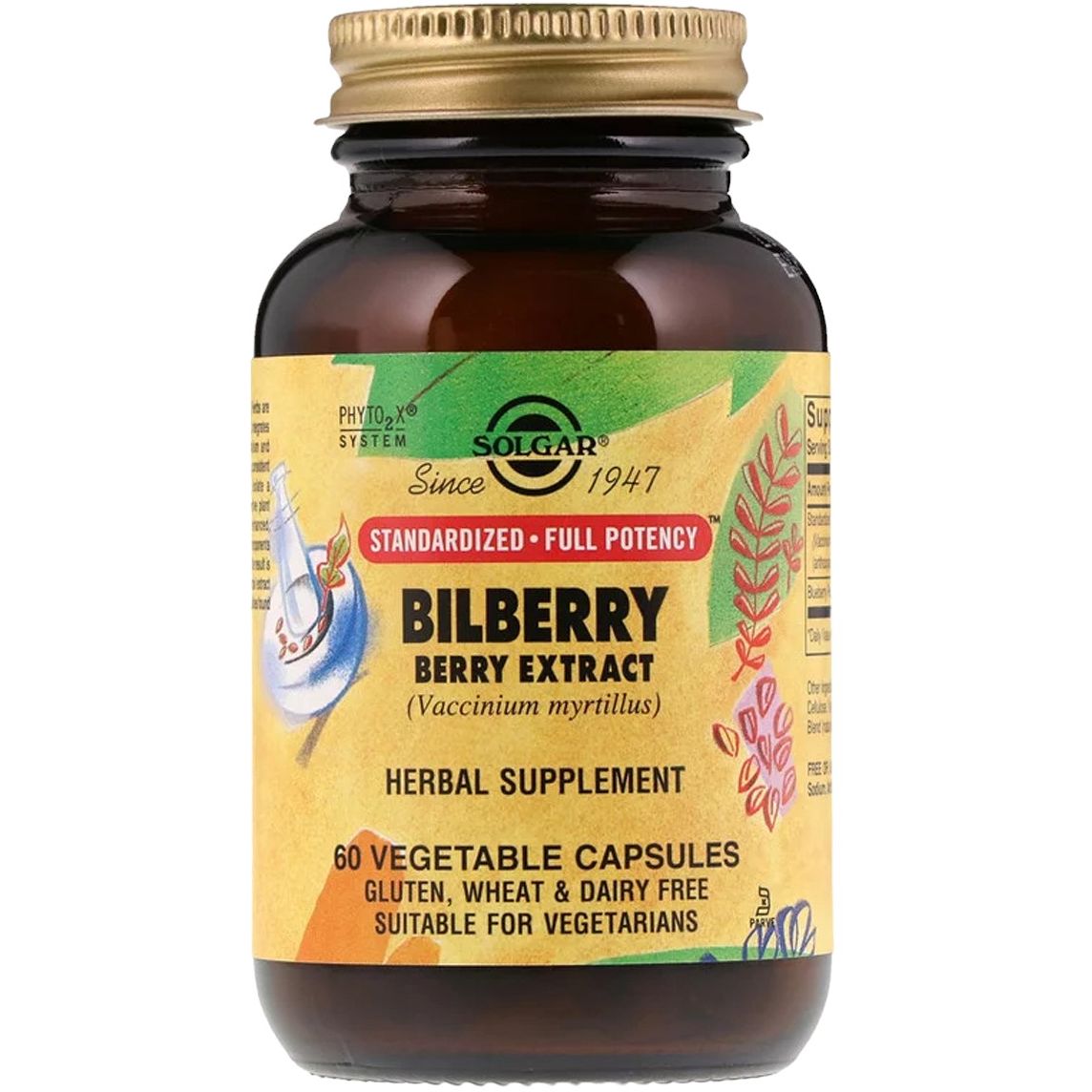 Экстракт черники Solgar Bilberry Berry Extract 60 вегетарианских капсул - фото 1