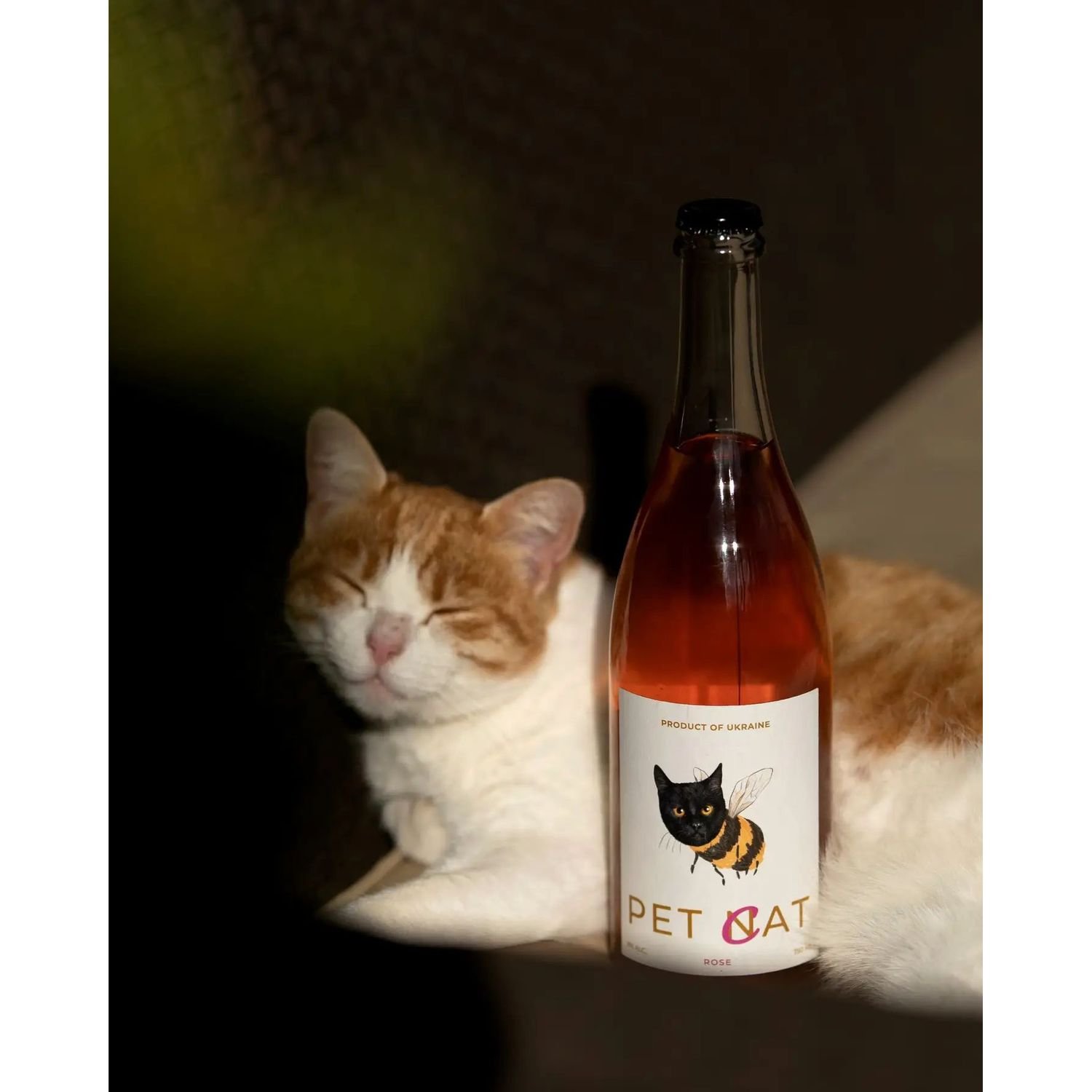 Мед питьевой игристый Pet-Cat Rose сухой розовый 8% 0.75 л - фото 4