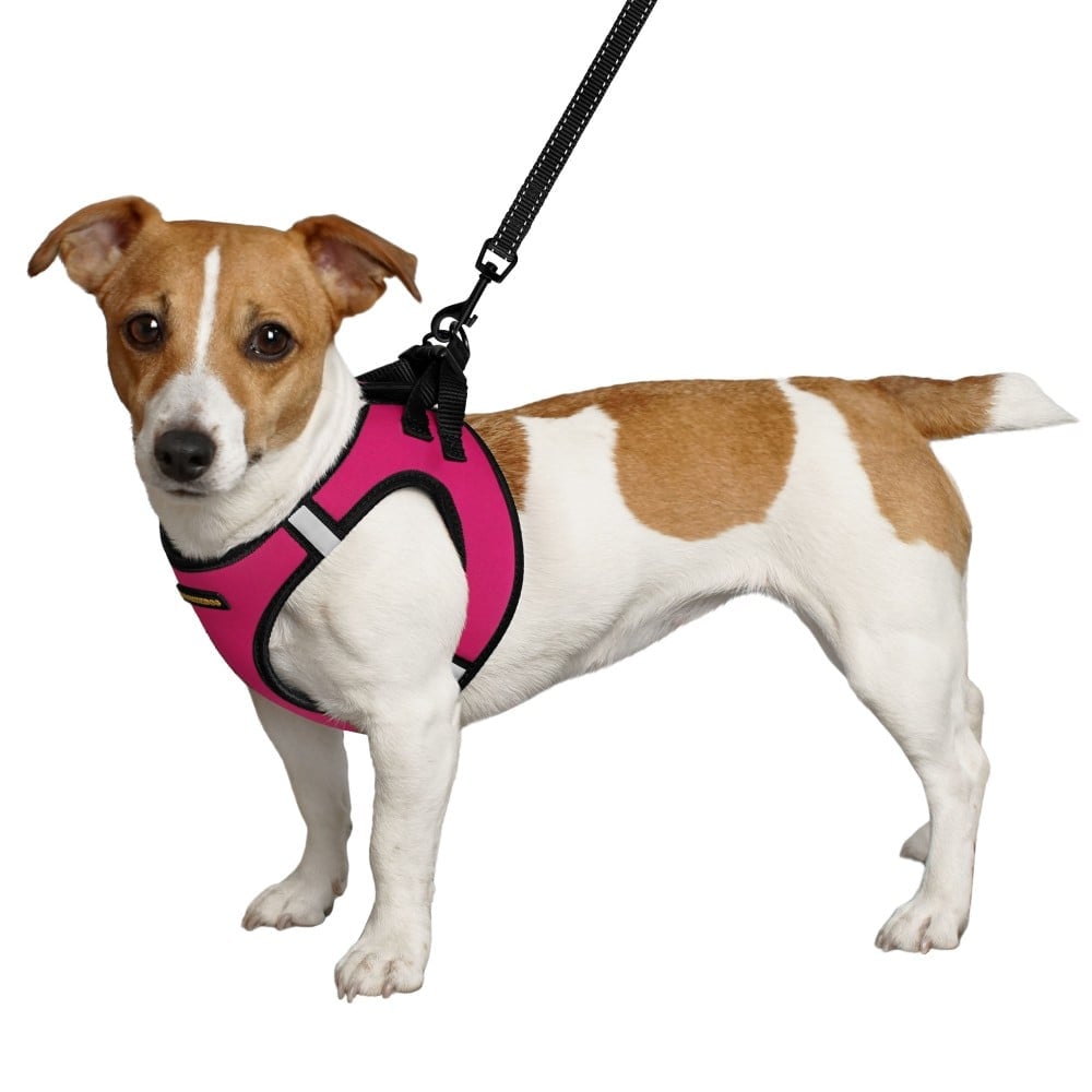 Шлея для собак Bronzedog Sport Vest S 20х16х3 см розовая - фото 2