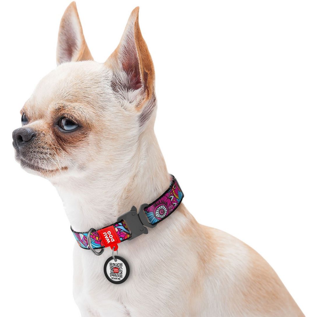 Ошейник для собак Waudog Nylon Лето, c QR паспортом, металлическая пряжка-фастекс, 31-49х2,5 см - фото 4