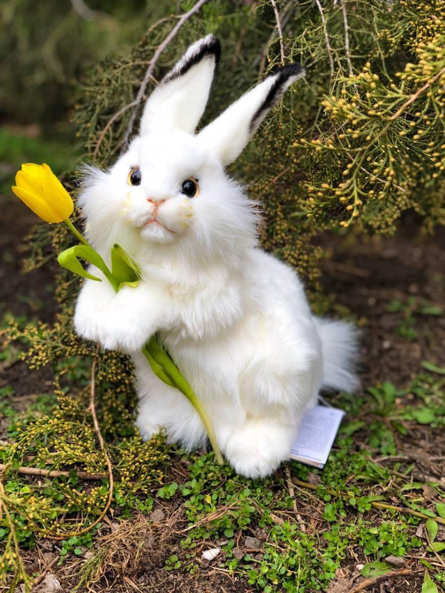 М'яка іграшка Hansa Білий кролик, 32 см (3313) - фото 2