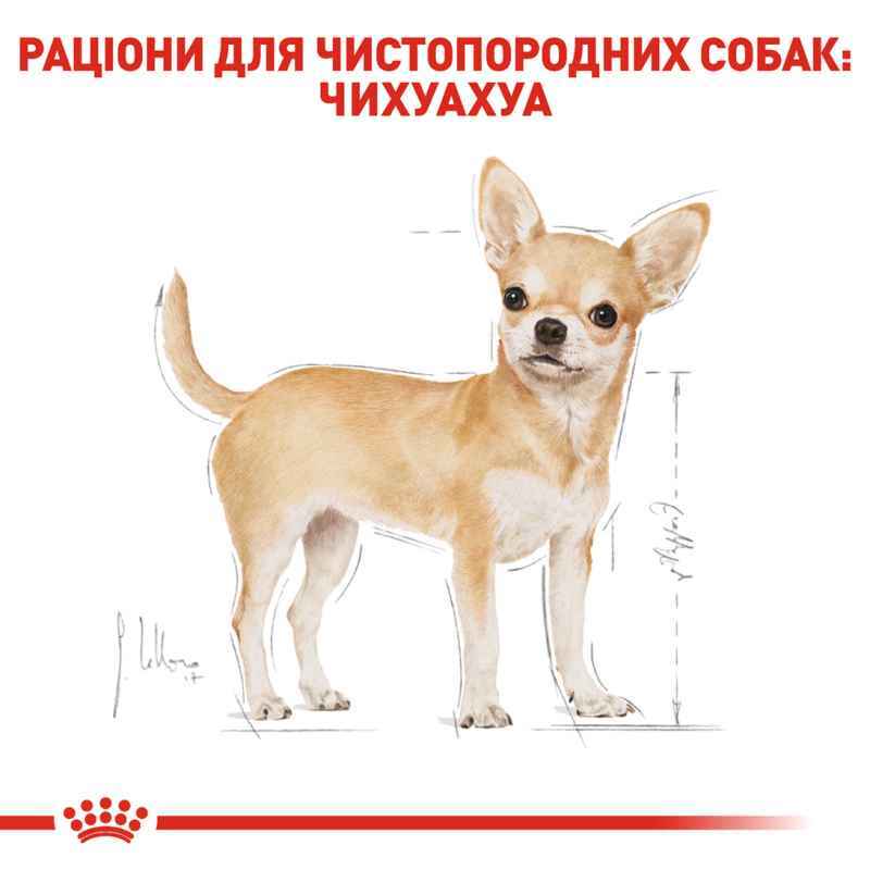 Сухий корм для дорослих собак породи Чихуахуа Royal Canin Chihuahua Adult, 3 кг (2210030) - фото 3