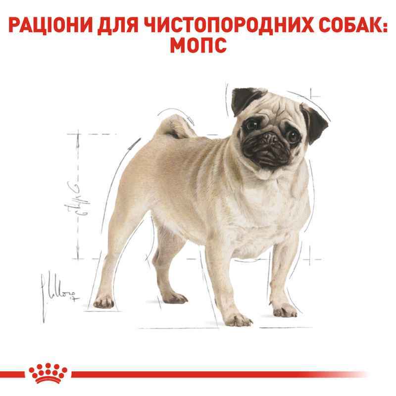 Сухой корм для взрослых собак породы Мопс Royal Canin Pug Adult, 3 кг (3985030) - фото 3