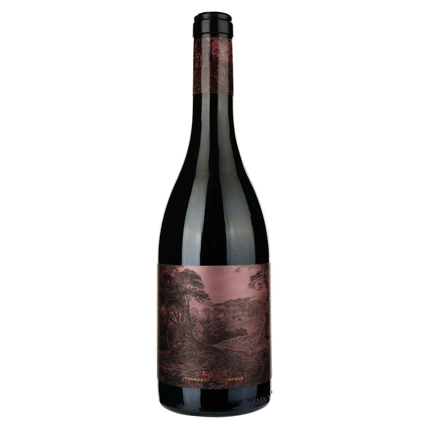 Вино Lionel Osmin & Cie Domaine Berthoumieu La Fé Sans Soufre красное сухое 0.75 л - фото 1