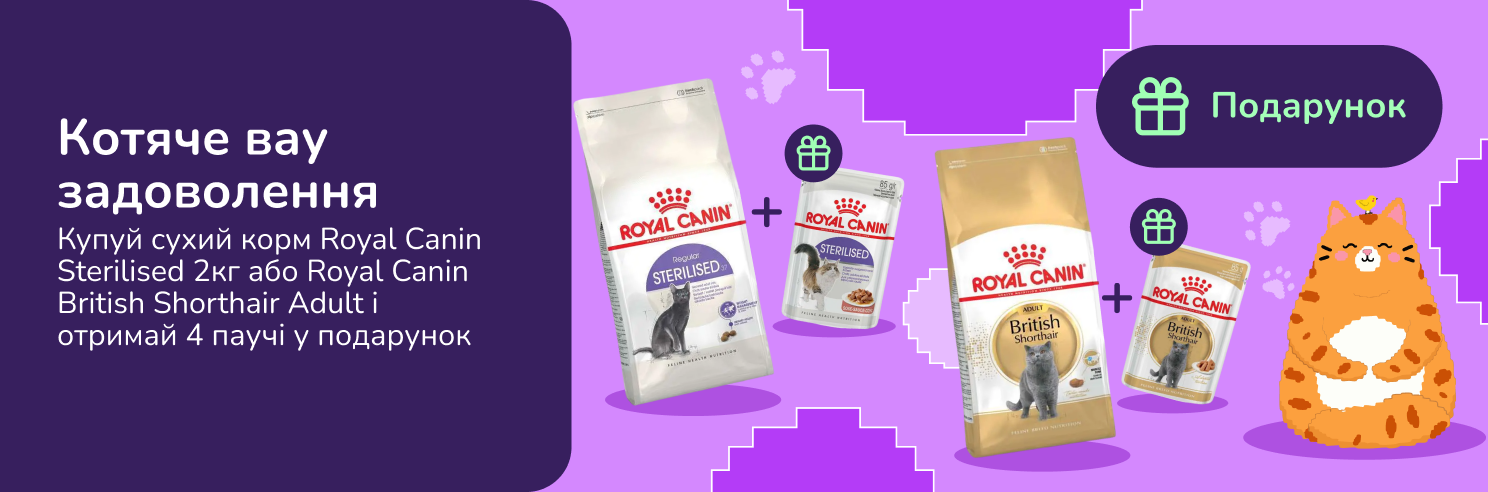 Котяче вау задоволення: купуй сухий корм Royal Canin Sterilised 2кг або Royal Canin British Shorthair Adult і отримай 4 паучі у подарунок