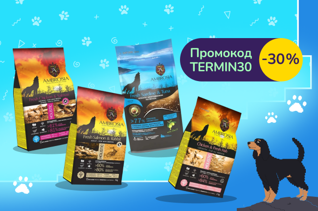 Літо-знижка: додаткова знижка за промокодом на вибрані корма Ambrosia