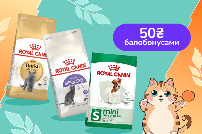 Залишай відгук на Royal Canin — отримуй 50 балобонусів! 