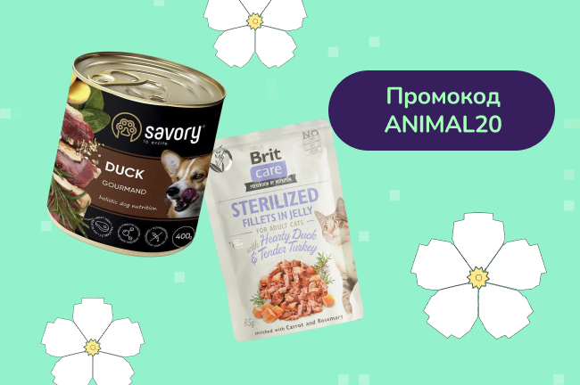 Отримай -20% знижки на корми для котів і собак за промокодом