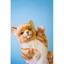 Мягкая игрушка на руку Hansa Puppet Имбирный кот, 30 см, белый с оранжевым (7182) - миниатюра 4