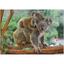 Пазл DoDo Маленькая коала с мамой, 1000 элементов (301183) - миниатюра 2