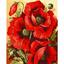 Картина за номерами ArtCraft Маковий цвіт 40x50 см (13129-AC) - мініатюра 1