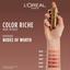Помада для губ L'Oreal Paris Color Riche Nude Intense 505 Nu Resilient 4.5 г (AA662900) - мініатюра 6