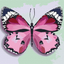 Набор для росписи по номерам Ідейка Розовая бабочка, 25х25 см (KHO4209) - миниатюра 1