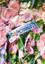 Зубная паста Marvis Garden Сollection Завивистая лилия, 75 мл - миниатюра 3