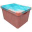 Коробка Qutu Style Box Coral, 20 л, 41х30х24см, кораловий (STYLE BOX с/к CORAL 20л.) - мініатюра 1