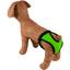 Трусы гигиенические для собак Lucky Pet L 47-54 см салатовые - миниатюра 2