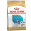 Сухий корм для цуценят породи Французький Бульдог Royal Canin French Bulldog Puppy, 3 кг (3990030) - мініатюра 1