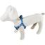 Шлея для собак Lucky Pet Геометрия голубая капроновая 45-64х2 см - миниатюра 2