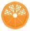 Силіконовий прорізувач Nuby Апельсин, оранжевий (NV06007orang) - мініатюра 2