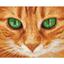 Картина за номерами ArtCraft Зелені очі 40x50 см (11620-AC) - мініатюра 1
